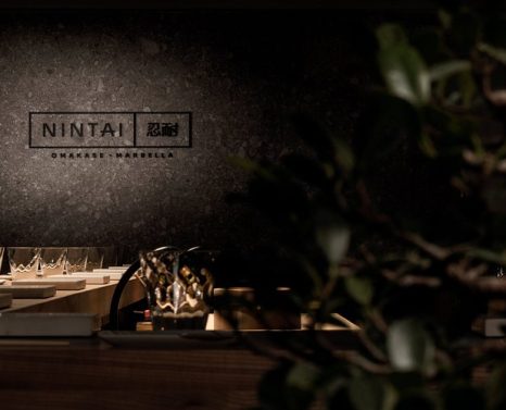 nintai-la-perfecta-paciencia